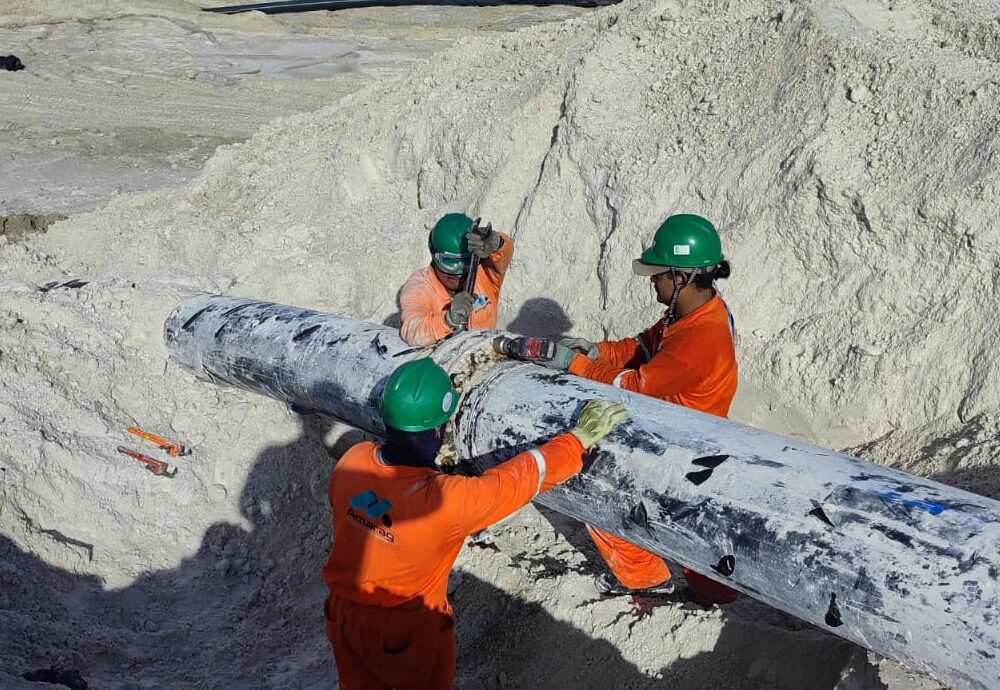 Proyecto de Minifase de descarga 